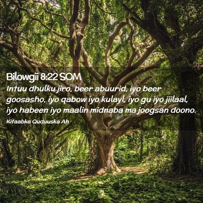 Picture 02 - Bilowgii 8:22 SOM - Intuu dhulku jiro, beer abuurid, iyo beer - Bible Verse Picture