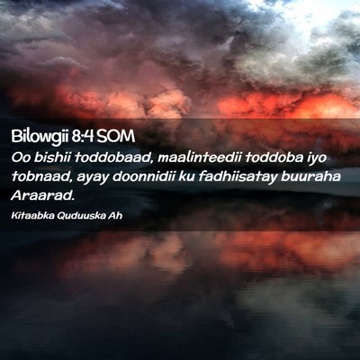 Picture 02 - Bilowgii 8:4 SOM - Oo bishii toddobaad, maalinteedii toddoba iyo - Bible Verse Picture