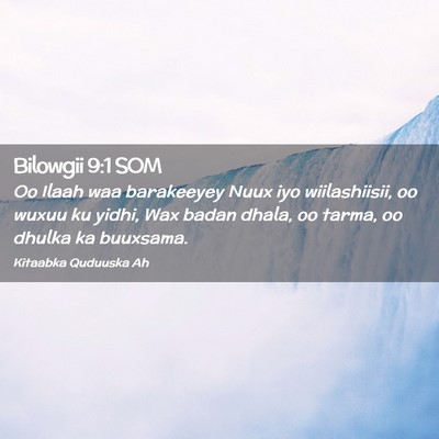 Picture 02 - Bilowgii 9:1 SOM - Oo Ilaah waa barakeeyey Nuux iyo wiilashiisii, oo - Bible Verse Picture