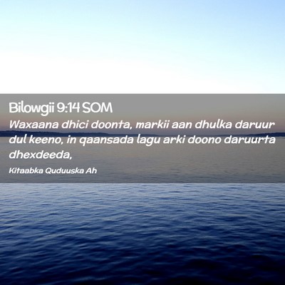Picture 02 - Bilowgii 9:14 SOM - Waxaana dhici doonta, markii aan dhulka daruur - Bible Verse Picture
