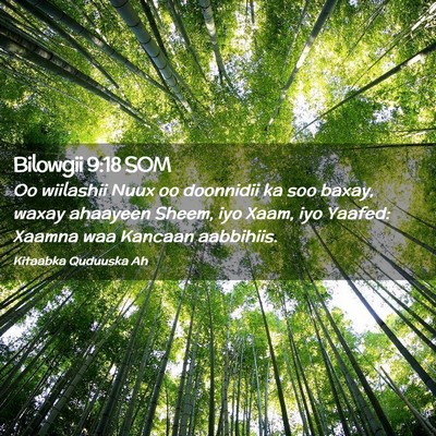 Picture 02 - Bilowgii 9:18 SOM - Oo wiilashii Nuux oo doonnidii ka soo baxay, - Bible Verse Picture