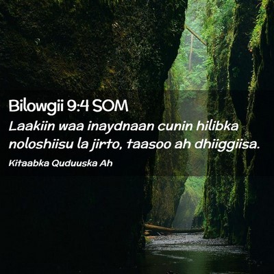 Picture 02 - Bilowgii 9:4 SOM - Laakiin waa inaydnaan cunin hilibka noloshiisu la - Bible Verse Picture