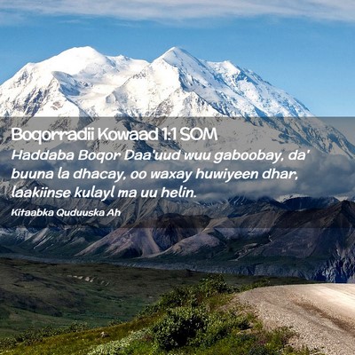 Picture 02 - Boqorradii Kowaad 1:1 SOM - Haddaba Boqor Daa'uud wuu gaboobay, da' buuna la - Bible Verse Picture