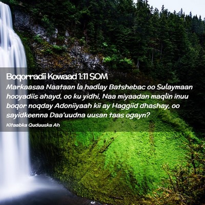 Picture 02 - Boqorradii Kowaad 1:11 SOM - Markaasaa Naataan la hadlay Batshebac oo - Bible Verse Picture