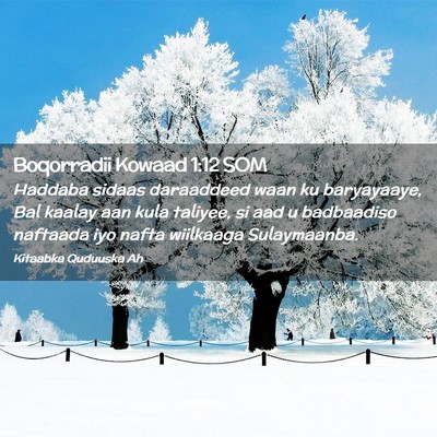Picture 02 - Boqorradii Kowaad 1:12 SOM - Haddaba sidaas daraaddeed waan ku baryayaaye, Bal - Bible Verse Picture