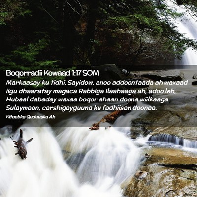 Picture 02 - Boqorradii Kowaad 1:17 SOM - Markaasay ku tidhi, Sayidow, anoo addoontaada ah - Bible Verse Picture