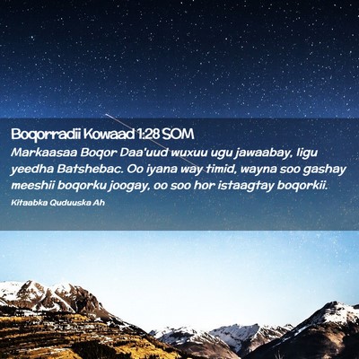 Picture 02 - Boqorradii Kowaad 1:28 SOM - Markaasaa Boqor Daa'uud wuxuu ugu jawaabay, Iigu - Bible Verse Picture