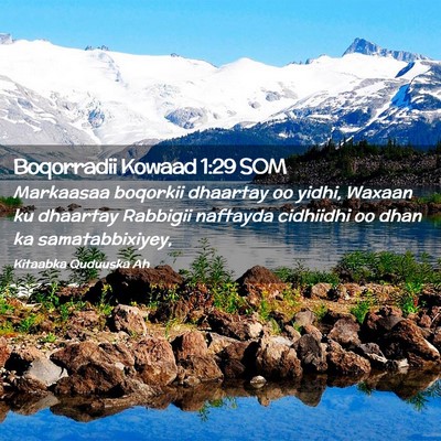Picture 02 - Boqorradii Kowaad 1:29 SOM - Markaasaa boqorkii dhaartay oo yidhi, Waxaan ku - Bible Verse Picture