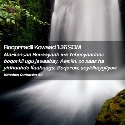 Picture 02 - Boqorradii Kowaad 1:36 SOM - Markaasaa Benaayaah ina Yehooyaadaac boqorkii ugu - Bible Verse Picture