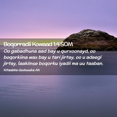 Picture 02 - Boqorradii Kowaad 1:4 SOM - Oo gabadhuna aad bay u qurxoonayd, oo boqorkiina - Bible Verse Picture