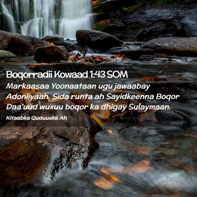 Picture 02 - Boqorradii Kowaad 1:43 SOM - Markaasaa Yoonaataan ugu jawaabay Adoniiyaah, - Bible Verse Picture