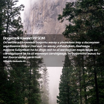 Picture 02 - Boqorradii Kowaad 1:47 SOM - Oo weliba addoommadii boqorku waxay u yimaadeen - Bible Verse Picture