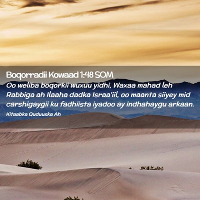 Picture 02 - Boqorradii Kowaad 1:48 SOM - Oo weliba boqorkii wuxuu yidhi, Waxaa mahad leh - Bible Verse Picture
