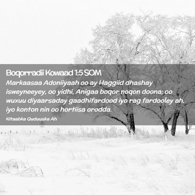 Picture 02 - Boqorradii Kowaad 1:5 SOM - Markaasaa Adoniiyaah oo ay Haggiid dhashay - Bible Verse Picture