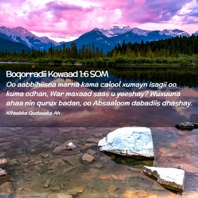 Picture 02 - Boqorradii Kowaad 1:6 SOM - Oo aabbihiisna marna kama calool xumayn isagii oo - Bible Verse Picture