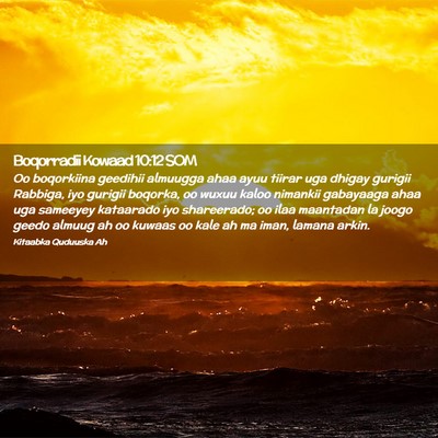 Picture 02 - Boqorradii Kowaad 10:12 SOM - Oo boqorkiina geedihii almuugga ahaa ayuu tiirar - Bible Verse Picture