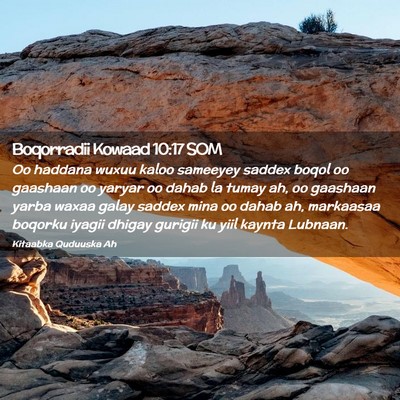 Picture 02 - Boqorradii Kowaad 10:17 SOM - Oo haddana wuxuu kaloo sameeyey saddex boqol oo - Bible Verse Picture