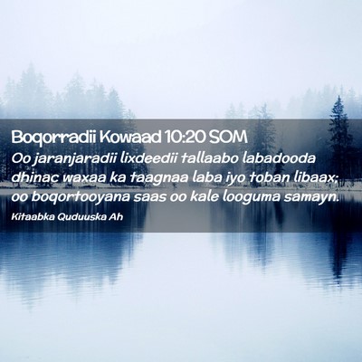 Picture 02 - Boqorradii Kowaad 10:20 SOM - Oo jaranjaradii lixdeedii tallaabo labadooda - Bible Verse Picture