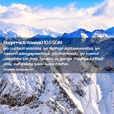 Picture 02 - Boqorradii Kowaad 10:5 SOM - iyo cuntadii miiskiisa, iyo fadhigii - Bible Verse Picture