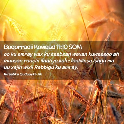 Picture 02 - Boqorradii Kowaad 11:10 SOM - oo ku amray wax ku saabsan waxan kuwaasoo ah - Bible Verse Picture