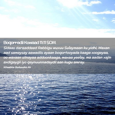 Picture 02 - Boqorradii Kowaad 11:11 SOM - Sidaas daraaddeed Rabbigu wuxuu Sulaymaan ku - Bible Verse Picture