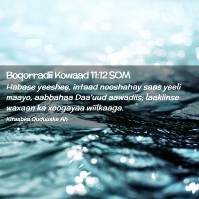 Picture 02 - Boqorradii Kowaad 11:12 SOM - Habase yeeshee, intaad nooshahay saas yeeli - Bible Verse Picture