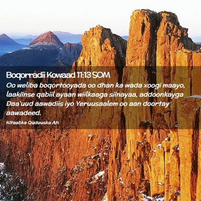 Picture 02 - Boqorradii Kowaad 11:13 SOM - Oo weliba boqortooyada oo dhan ka wada xoogi - Bible Verse Picture