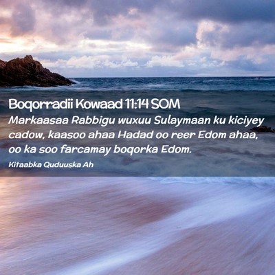 Picture 02 - Boqorradii Kowaad 11:14 SOM - Markaasaa Rabbigu wuxuu Sulaymaan ku kiciyey - Bible Verse Picture