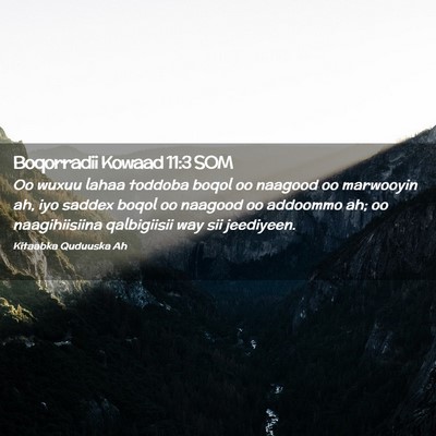 Picture 02 - Boqorradii Kowaad 11:3 SOM - Oo wuxuu lahaa toddoba boqol oo naagood oo - Bible Verse Picture