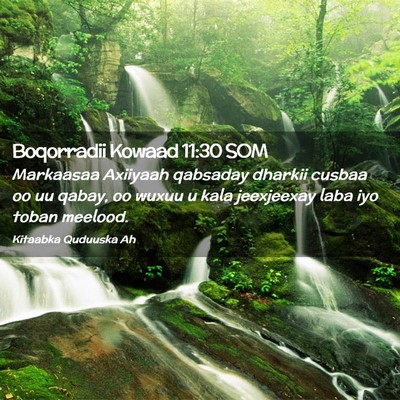 Picture 02 - Boqorradii Kowaad 11:30 SOM - Markaasaa Axiiyaah qabsaday dharkii cusbaa oo uu - Bible Verse Picture