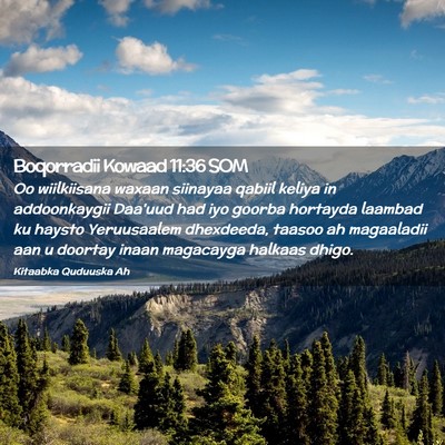 Picture 02 - Boqorradii Kowaad 11:36 SOM - Oo wiilkiisana waxaan siinayaa qabiil keliya in - Bible Verse Picture