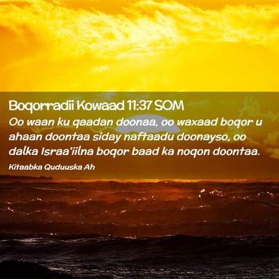Picture 02 - Boqorradii Kowaad 11:37 SOM - Oo waan ku qaadan doonaa, oo waxaad boqor u ahaan - Bible Verse Picture