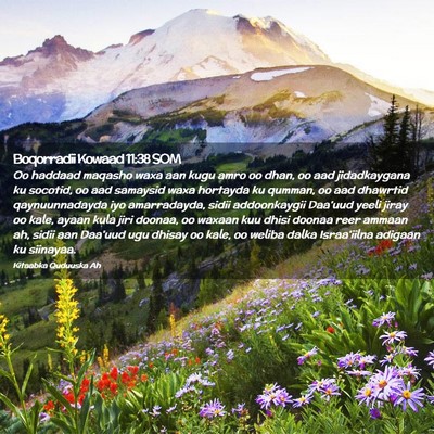 Picture 02 - Boqorradii Kowaad 11:38 SOM - Oo haddaad maqasho waxa aan kugu amro oo dhan, oo - Bible Verse Picture