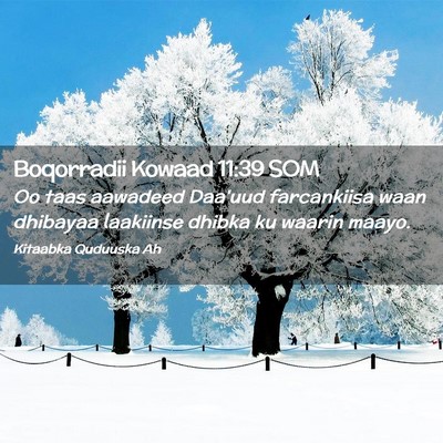 Picture 02 - Boqorradii Kowaad 11:39 SOM - Oo taas aawadeed Daa'uud farcankiisa waan - Bible Verse Picture