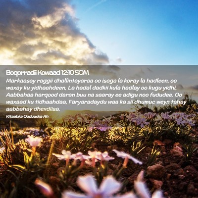 Picture 02 - Boqorradii Kowaad 12:10 SOM - Markaasay raggii dhallintayaraa oo isaga la koray - Bible Verse Picture