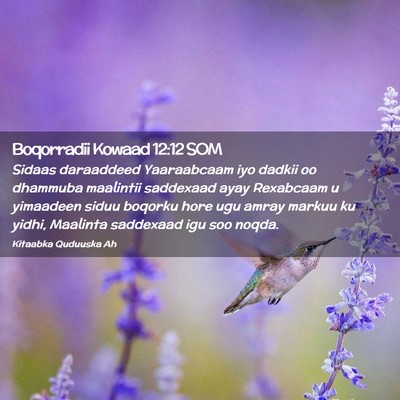 Picture 02 - Boqorradii Kowaad 12:12 SOM - Sidaas daraaddeed Yaaraabcaam iyo dadkii oo - Bible Verse Picture
