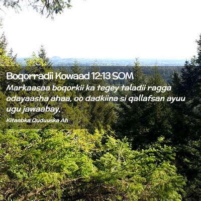 Picture 02 - Boqorradii Kowaad 12:13 SOM - Markaasaa boqorkii ka tegey taladii ragga - Bible Verse Picture