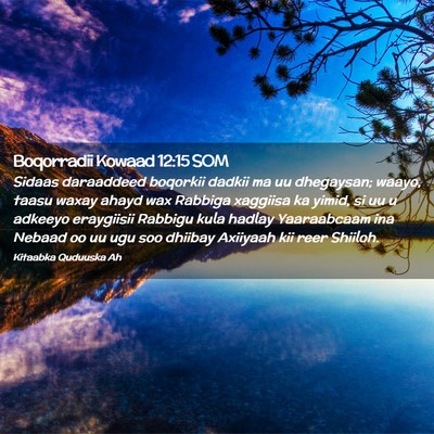 Picture 02 - Boqorradii Kowaad 12:15 SOM - Sidaas daraaddeed boqorkii dadkii ma uu - Bible Verse Picture