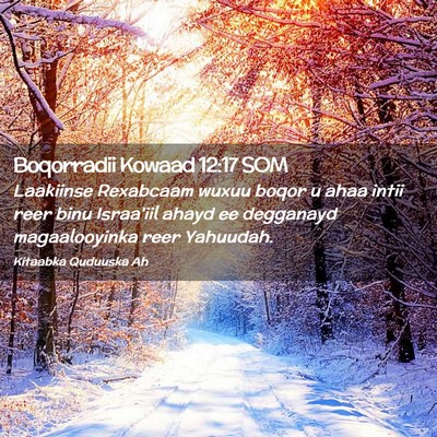 Picture 02 - Boqorradii Kowaad 12:17 SOM - Laakiinse Rexabcaam wuxuu boqor u ahaa intii reer - Bible Verse Picture