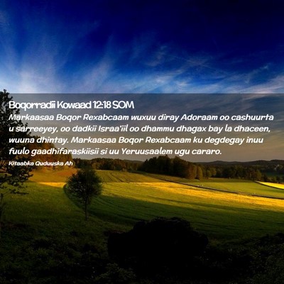 Picture 02 - Boqorradii Kowaad 12:18 SOM - Markaasaa Boqor Rexabcaam wuxuu diray Adoraam oo - Bible Verse Picture