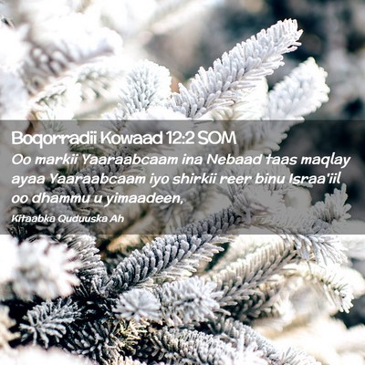 Picture 02 - Boqorradii Kowaad 12:2 SOM - Oo markii Yaaraabcaam ina Nebaad taas maqlay ayaa - Bible Verse Picture