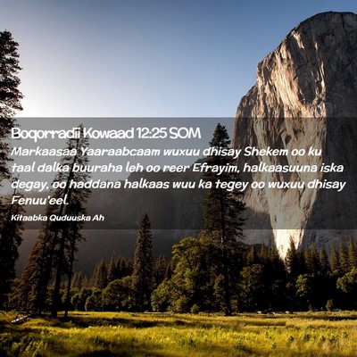 Picture 02 - Boqorradii Kowaad 12:25 SOM - Markaasaa Yaaraabcaam wuxuu dhisay Shekem oo ku - Bible Verse Picture
