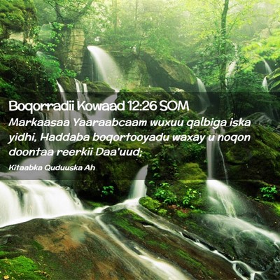 Picture 02 - Boqorradii Kowaad 12:26 SOM - Markaasaa Yaaraabcaam wuxuu qalbiga iska yidhi, - Bible Verse Picture