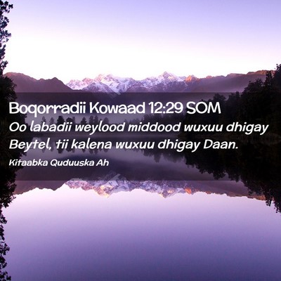 Picture 02 - Boqorradii Kowaad 12:29 SOM - Oo labadii weylood middood wuxuu dhigay Beytel, - Bible Verse Picture