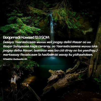 Picture 02 - Boqorradii Kowaad 12:3 SOM - (waayo, Yaaraabcaam wuxuu weli joogay dalkii - Bible Verse Picture