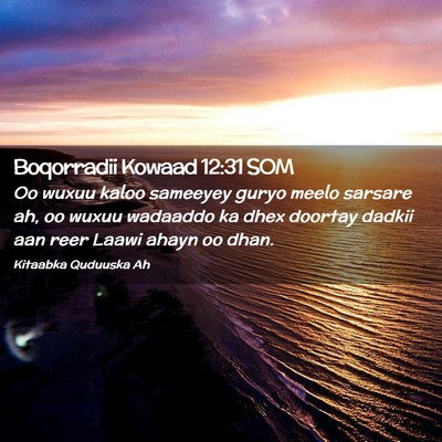 Picture 02 - Boqorradii Kowaad 12:31 SOM - Oo wuxuu kaloo sameeyey guryo meelo sarsare ah, - Bible Verse Picture