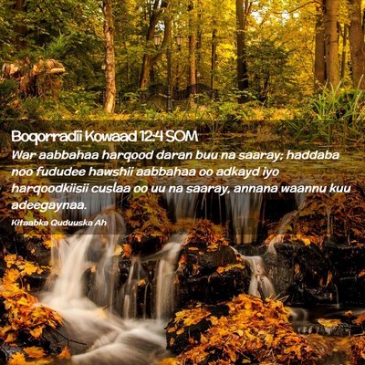 Picture 02 - Boqorradii Kowaad 12:4 SOM - War aabbahaa harqood daran buu na saaray; haddaba - Bible Verse Picture