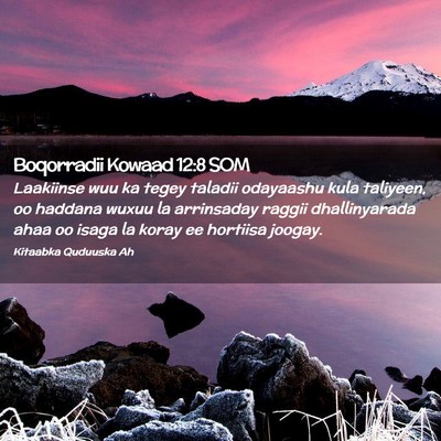 Picture 02 - Boqorradii Kowaad 12:8 SOM - Laakiinse wuu ka tegey taladii odayaashu kula - Bible Verse Picture