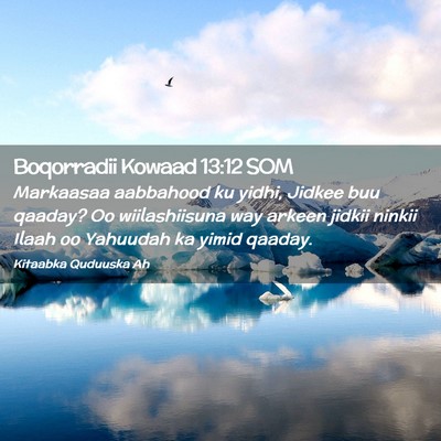 Picture 02 - Boqorradii Kowaad 13:12 SOM - Markaasaa aabbahood ku yidhi, Jidkee buu qaaday? - Bible Verse Picture