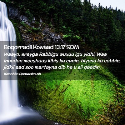 Picture 02 - Boqorradii Kowaad 13:17 SOM - Waayo, erayga Rabbigu wuxuu igu yidhi, Waa - Bible Verse Picture